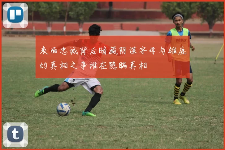 表面忠诚背后暗藏阴谋字母与雄鹿的真相之争谁在隐瞒真相